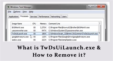 what is twdsuilaunch.exe|Twdsuilaunch.exe: What Is Twdsuilaunch.exe & Is It。